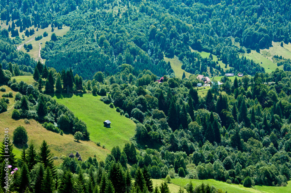Idyllic view of a green valley in rural Romania