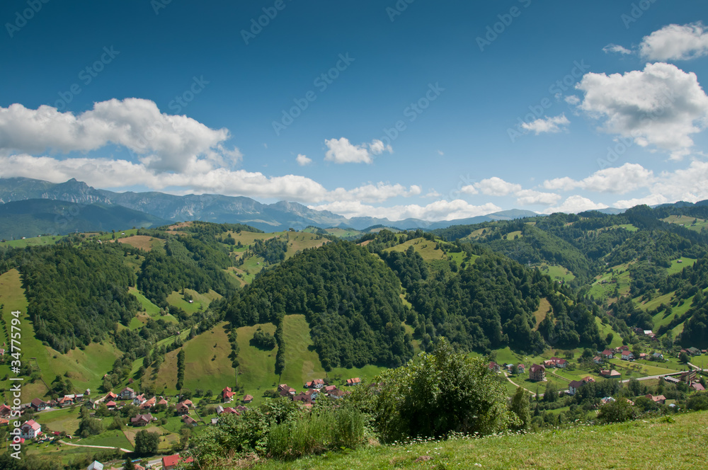 Hilly landscape with green vegetation in Romania