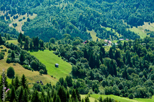 Fototapeta Naklejka Na Ścianę i Meble -  Idyllic view of a green valley in rural Romania
