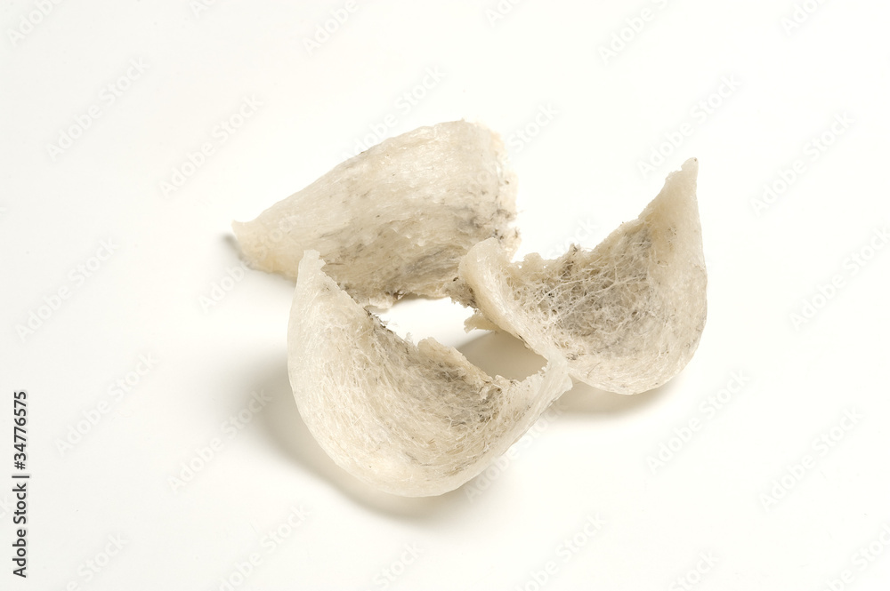 Fototapeta premium ツバメの巣