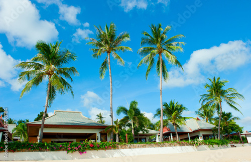 House with palm trees on the beach