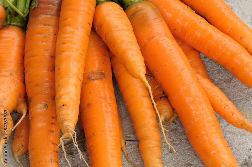 Carrots