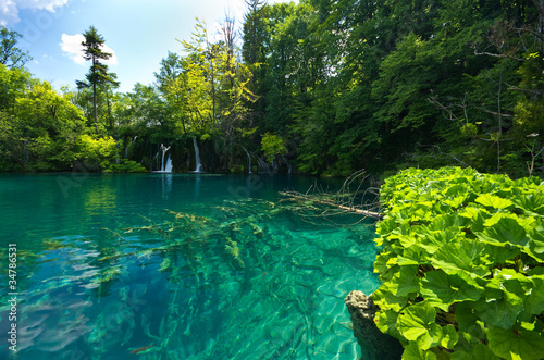 Beautiful lake in forest, Plitvice, Croatia