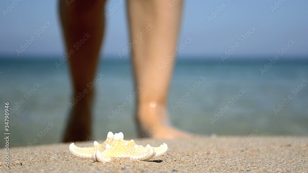 trovare una stella marina sulla spiaggia