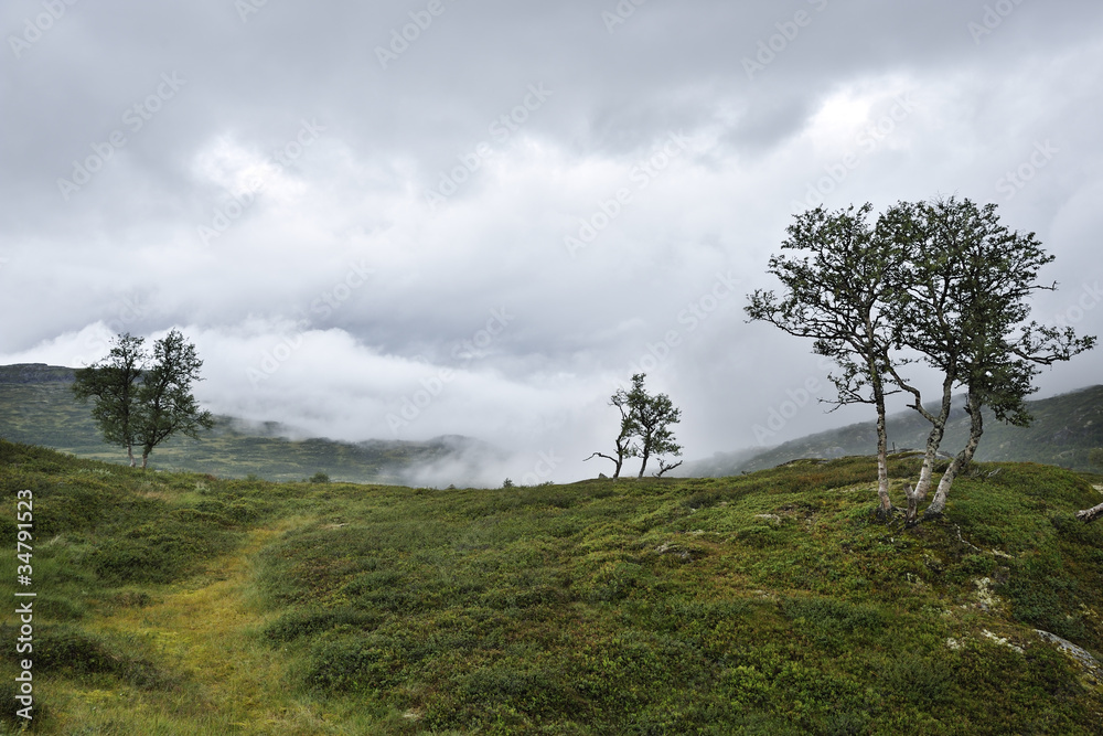 Landscape in Hardangervidda national park, Norway Landscape in Hardangervidda national park, Norway