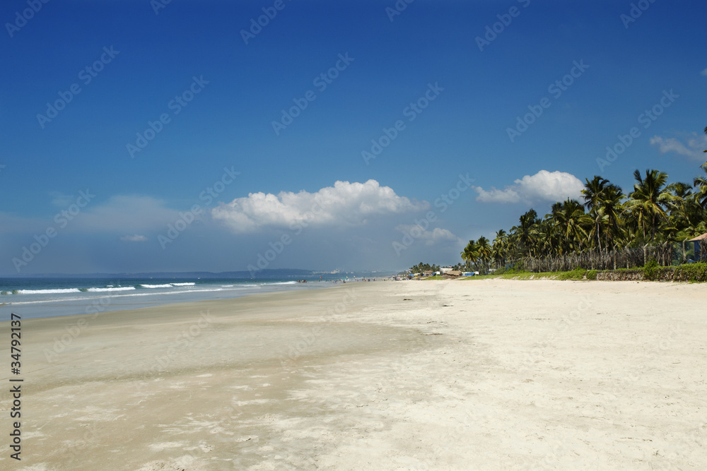 playa tropical en goa en india