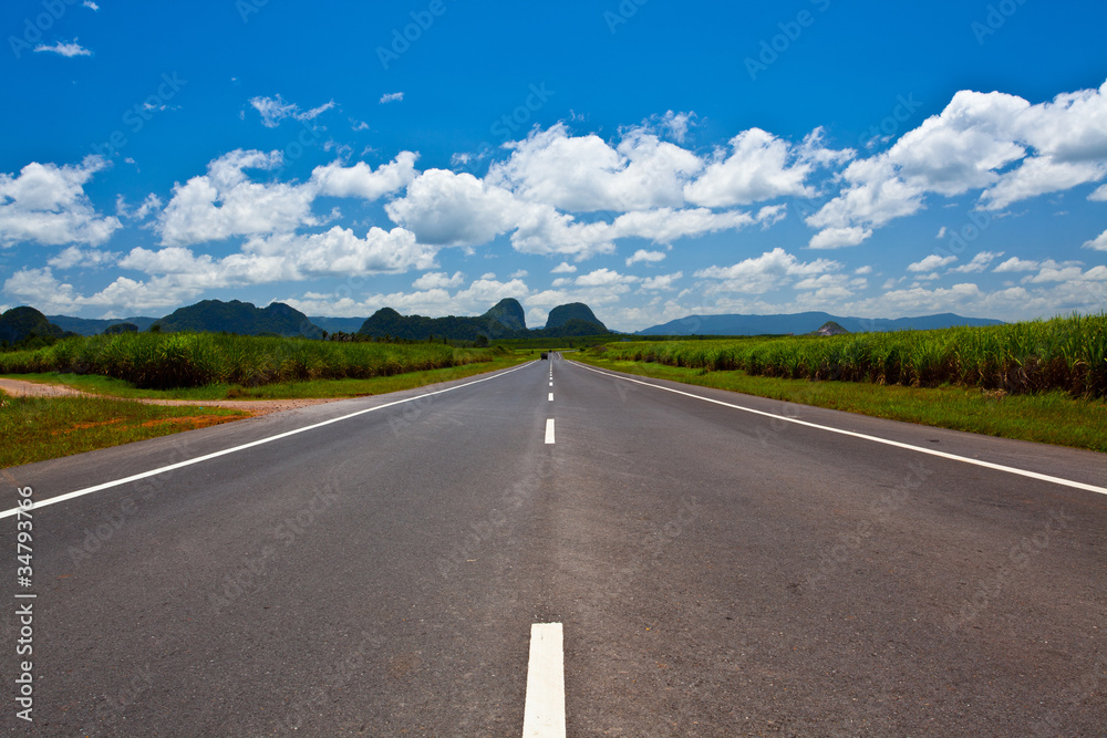 Rural road between sugarcane field