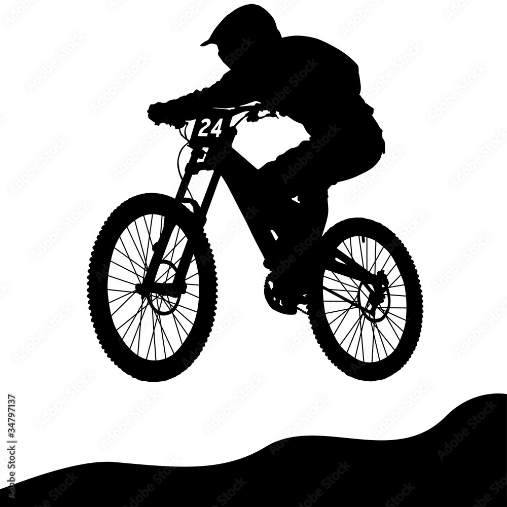 Mountainbike Downhill Foto, Poster, Wandbilder bei EuroPosters