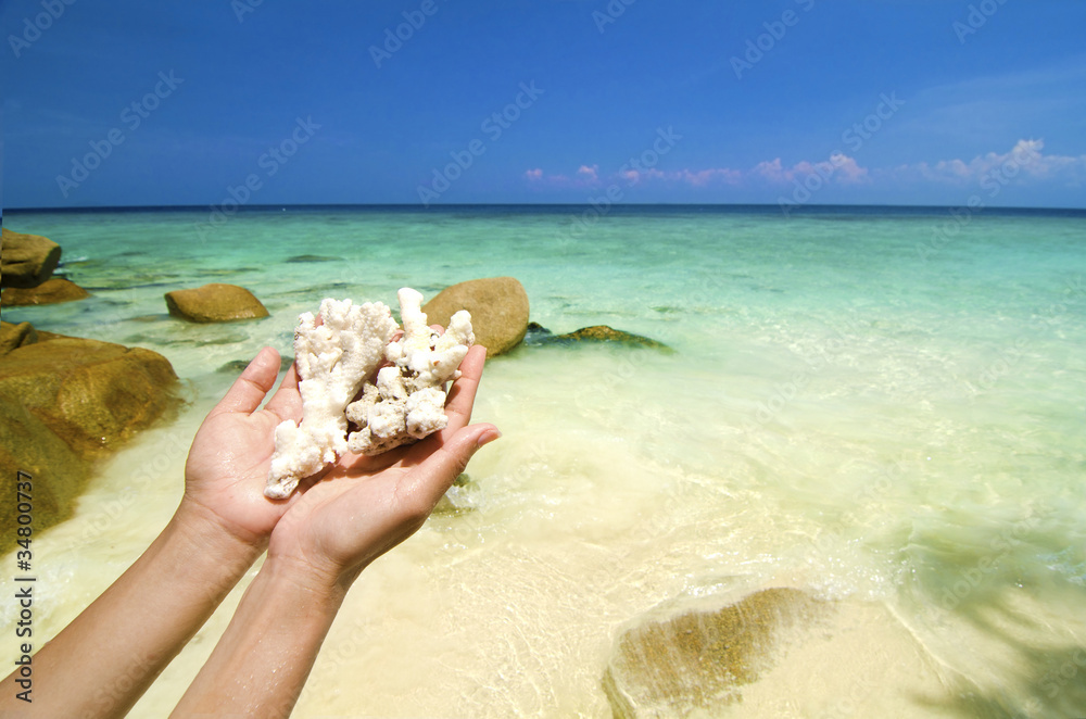 hand holding corals hand holding corals