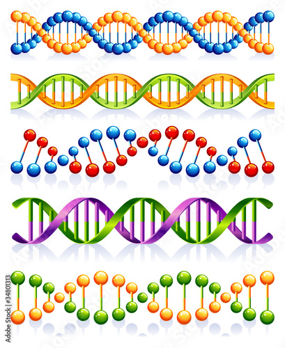 DNA