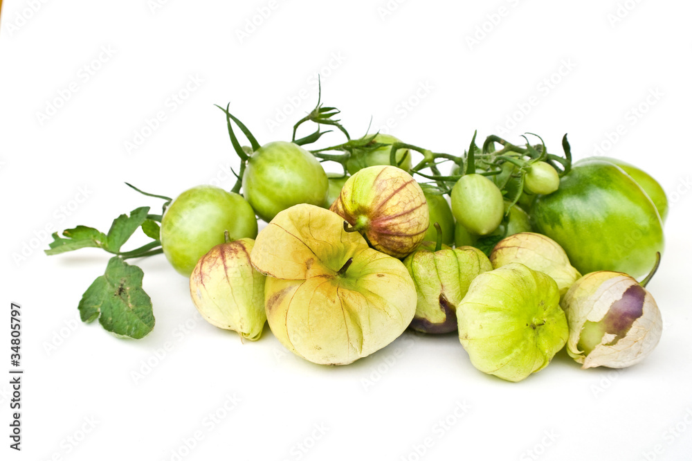 Vegetable Vegetable