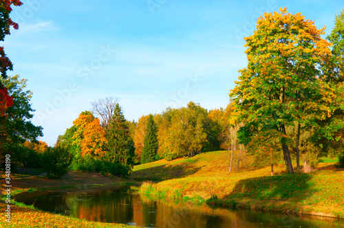 beautiful autumn park