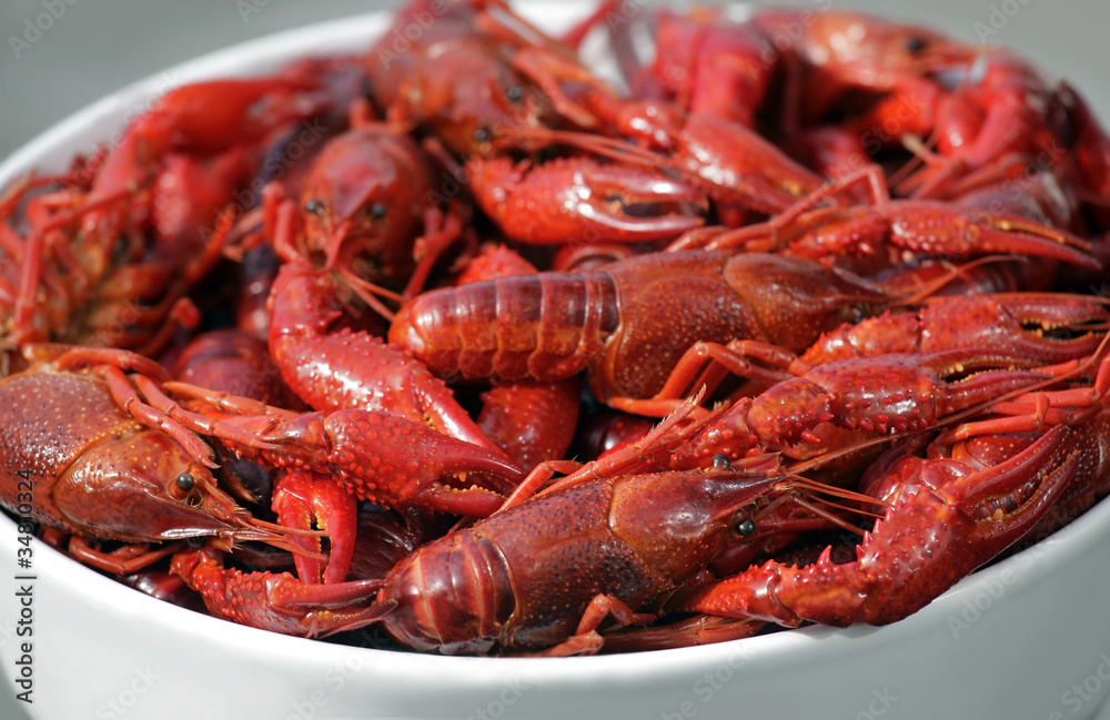 Boiled crawfish Boiled crawfish