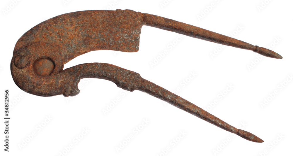 Obraz premium Rusty betel nut cutter