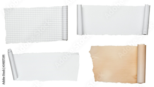 Wallpaper Mural white crumpled curled scroll note paper Torontodigital.ca