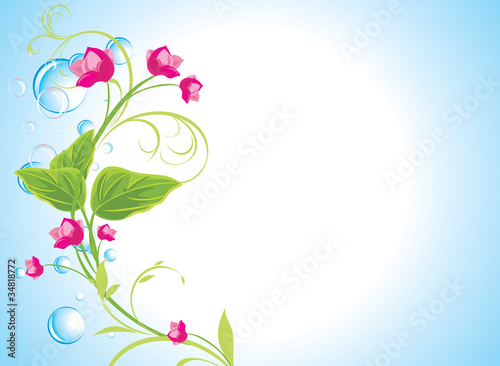 Drops and sprig with pink flowers on the abstract background