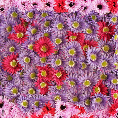 pink and violet floral background