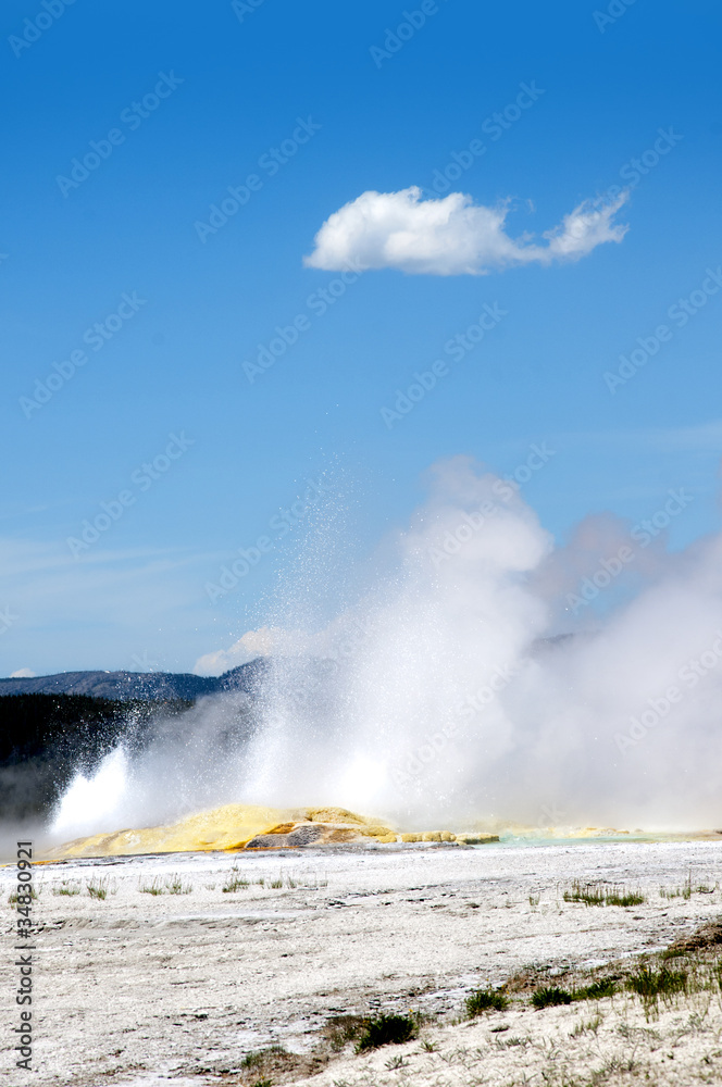 Geyser in Yellowstone National Park Wyoming USA