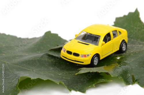Plane tree leaf and toy car