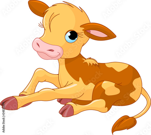 Little Baby Fawn
