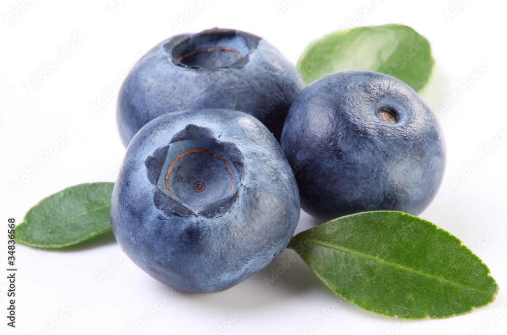 Blueberries with leaves Blueberries with leaves