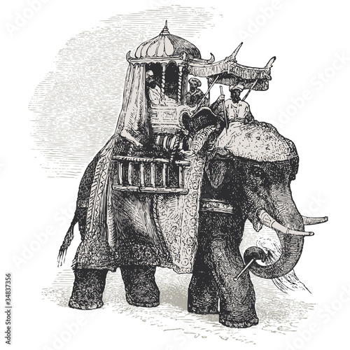 Eléphant