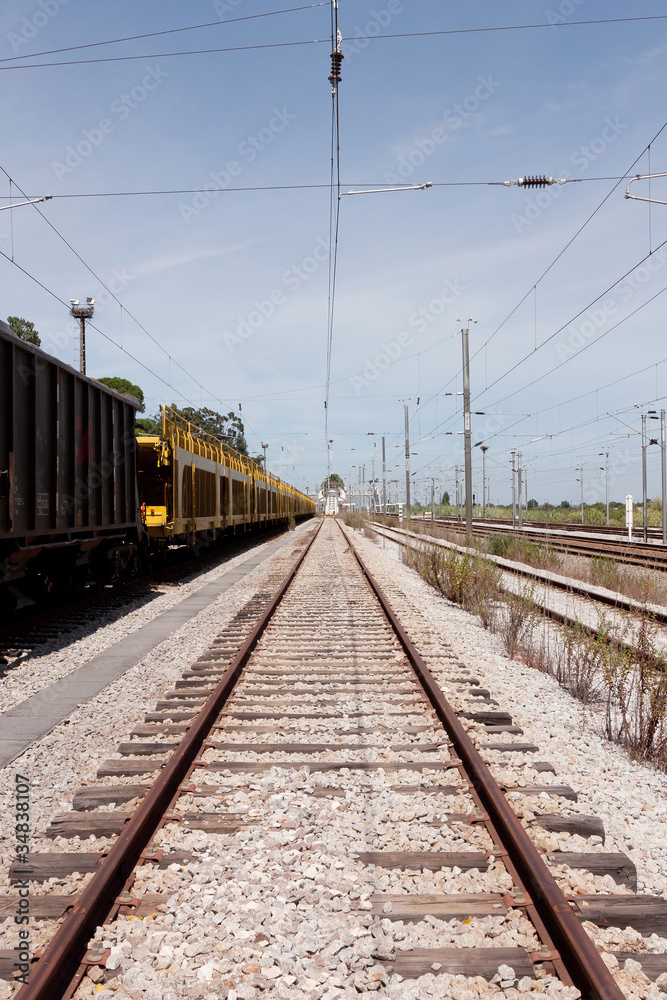 Single railway to horizon with empty cargo wagons on side