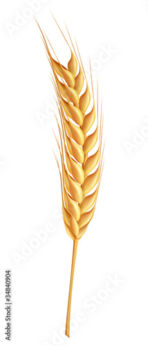 Wheat
