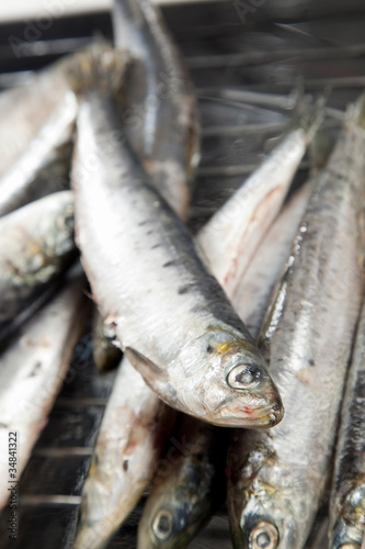 Sardines on wire rack, ready to be cooked.