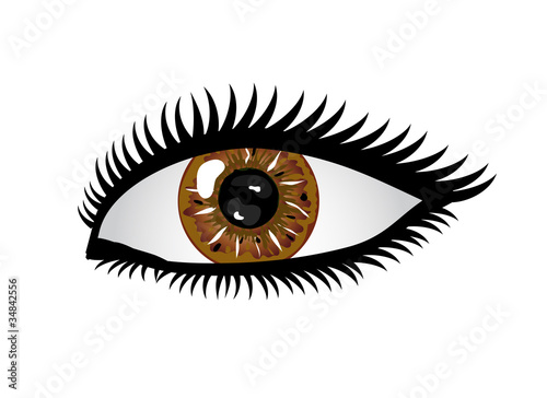 Braunes Auge
