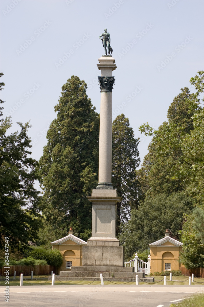 Wellington Commemorative Column, Stratfield Saye, Hampshire