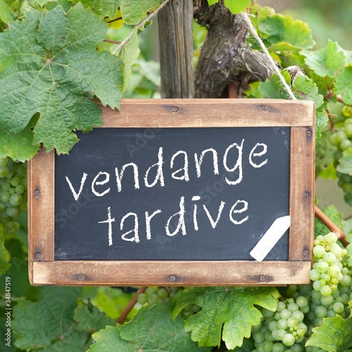 vendange tardive photo