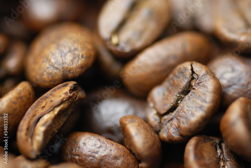 Macro Arabica coffee beans
