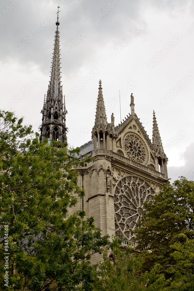 Notre Dame Cathedral Back View