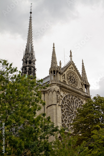 Notre Dame Cathedral Back View