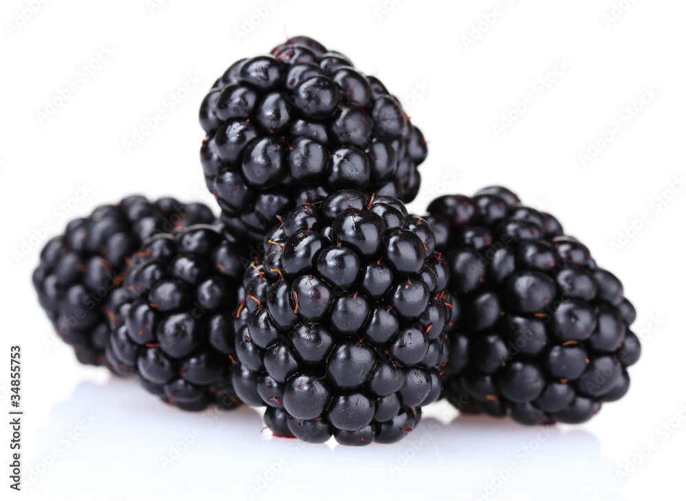 beautiful blackberries isolated on white beautiful blackberries isolated on white