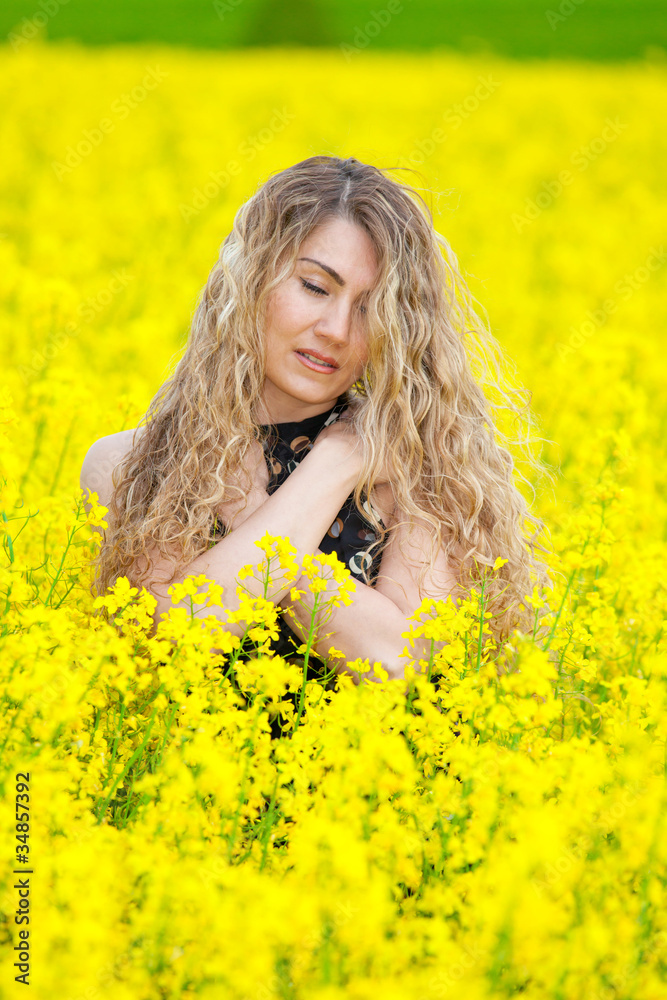 Summer Meadow Summer Meadow