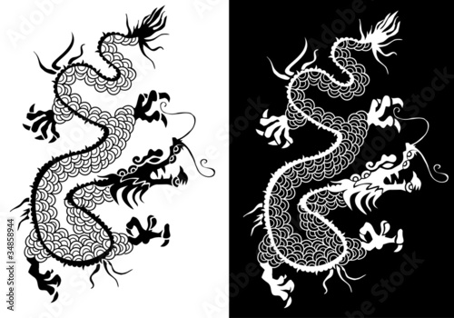 Black and white chinese dragon vector.