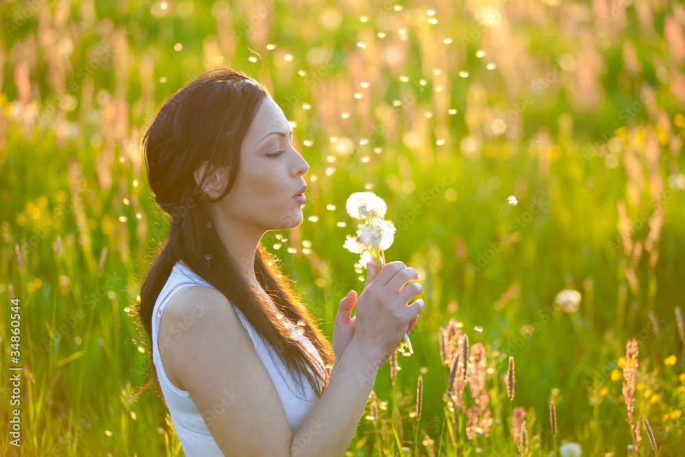 Summer Meadow