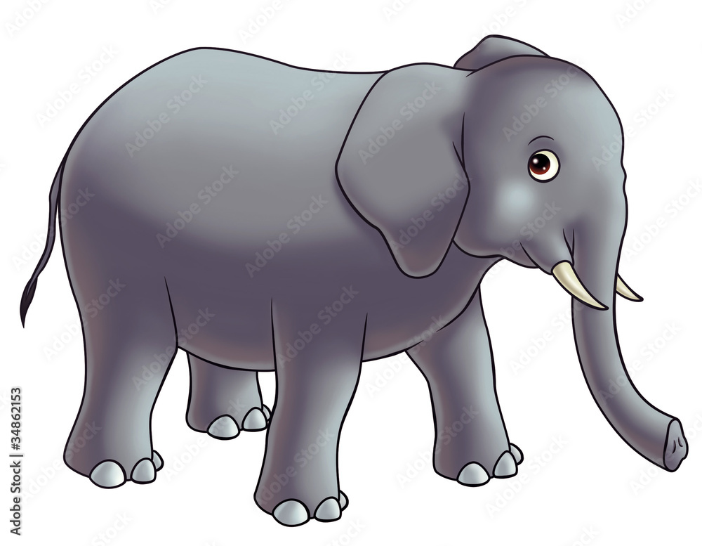 Obraz premium elephant