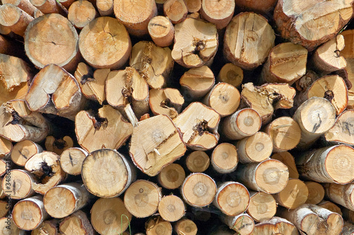 Timber stack