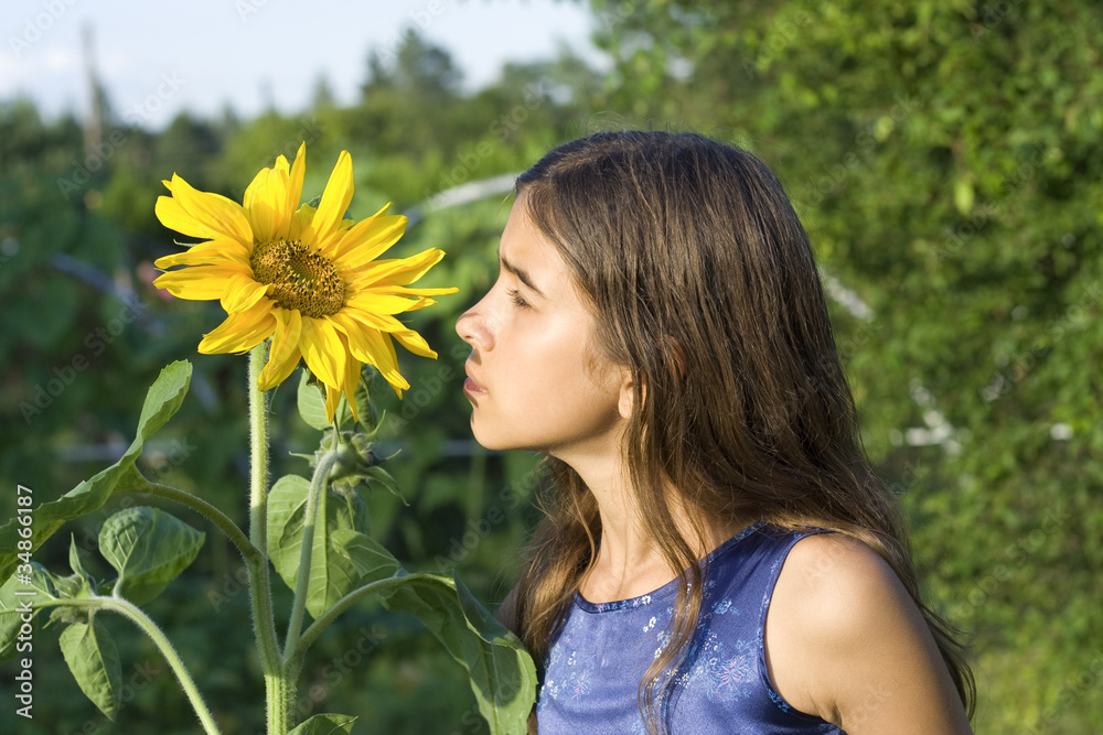 Girl smelling sunflower Girl smelling sunflower