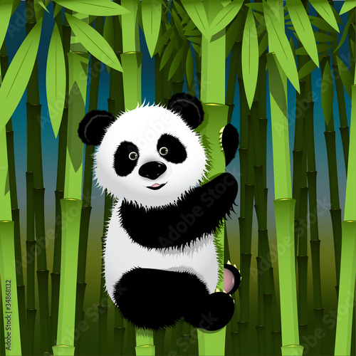 Fototapeta Naklejka Na Ścianę i Meble -  panda