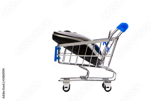 Computer mouse in shopping cart © Alexander Mak