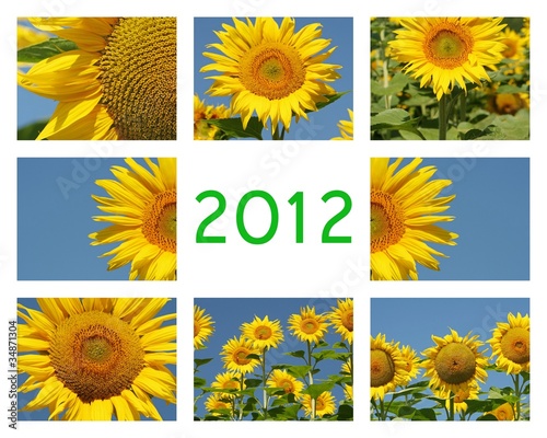 Fototapeta Naklejka Na Ścianę i Meble -  Une composition florale de tournesols