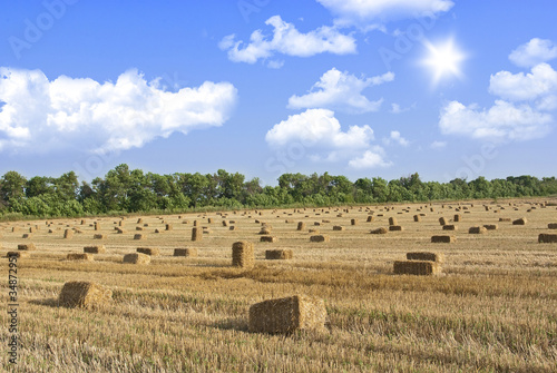 Straw bale and blue sky