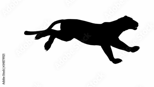Looping Jaguar/panther/Leopard/puma Animation with silhouette