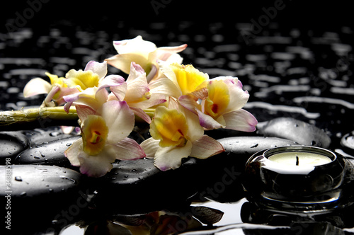 aromatherapy candle and zen stones with orchid