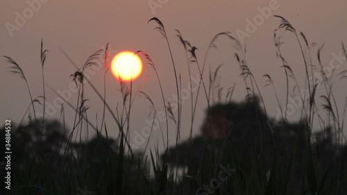 Sonnenuntergang an der Havel