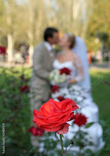 Kiss of the groom and the bride